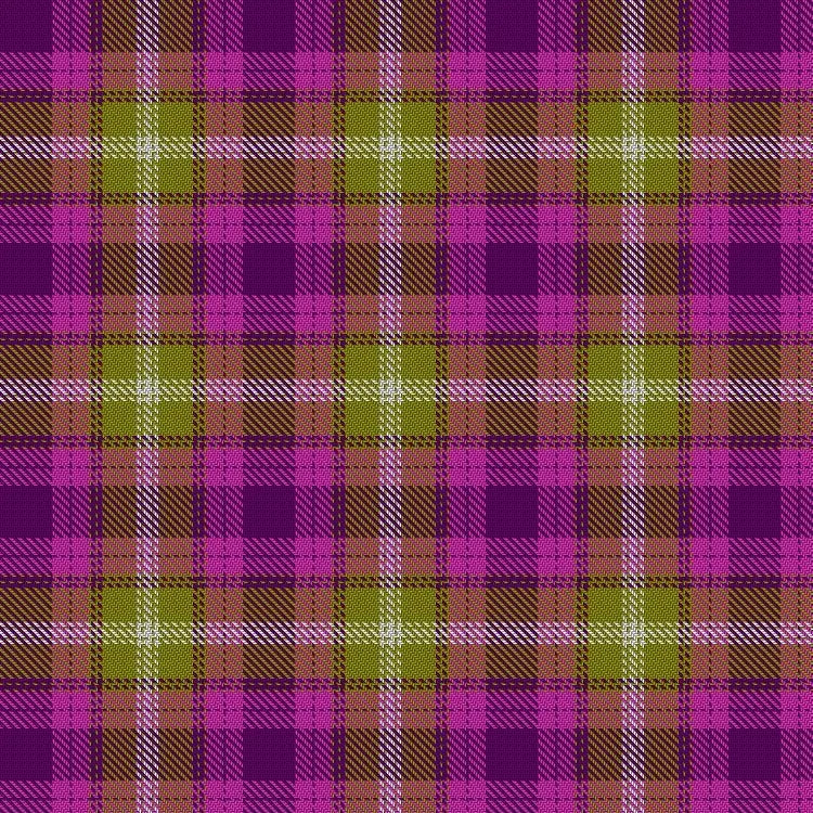 Borderlands Tartan