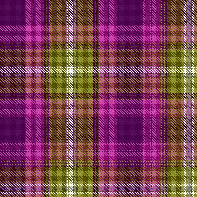 Borderlands Tartan
