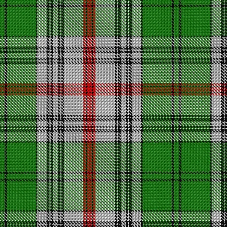 Daugherty tartan swatch detail