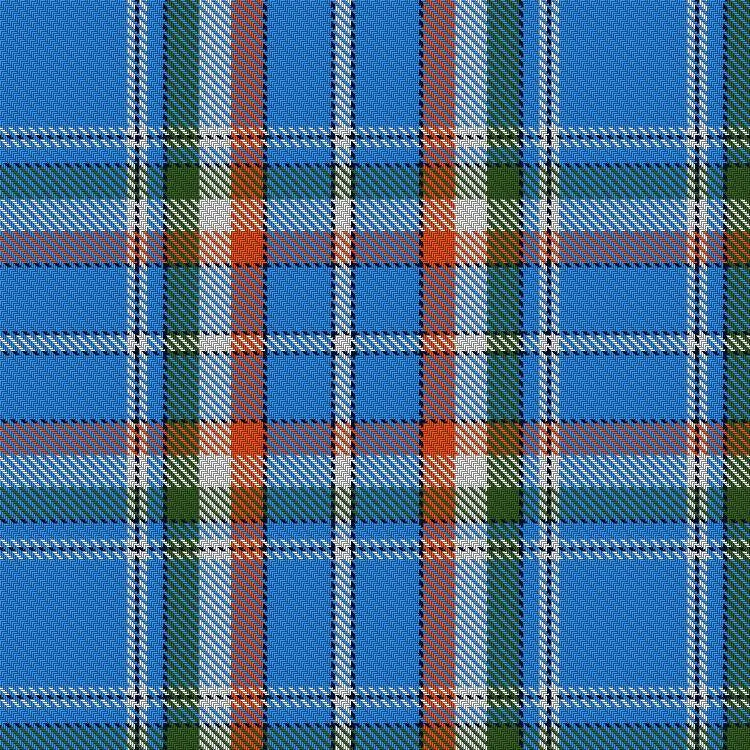 India Tartan swatch