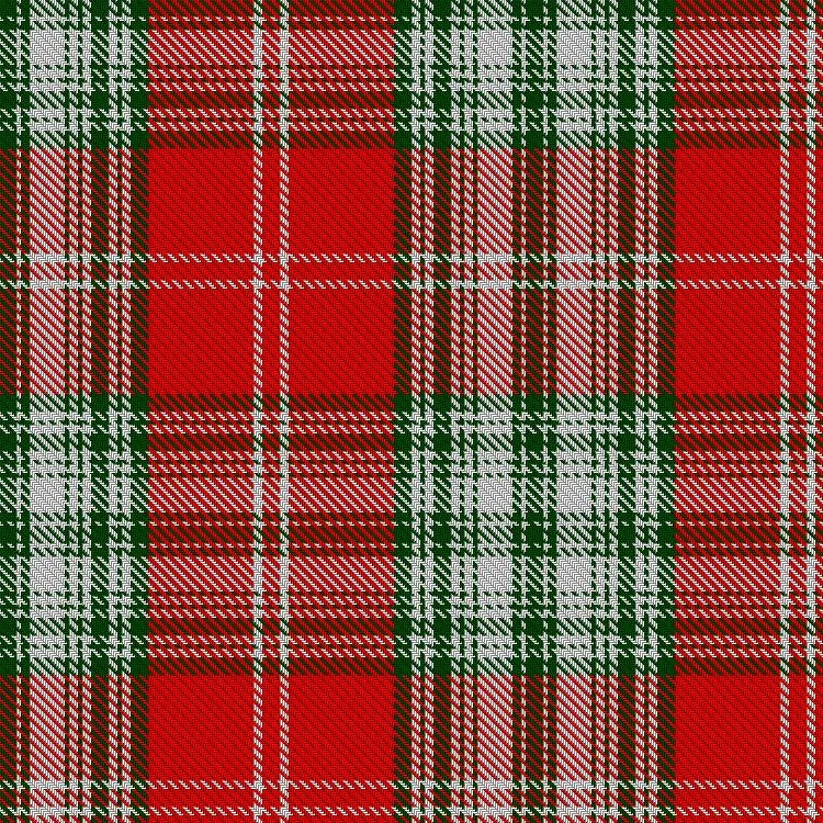Mexican tartan digital swatch