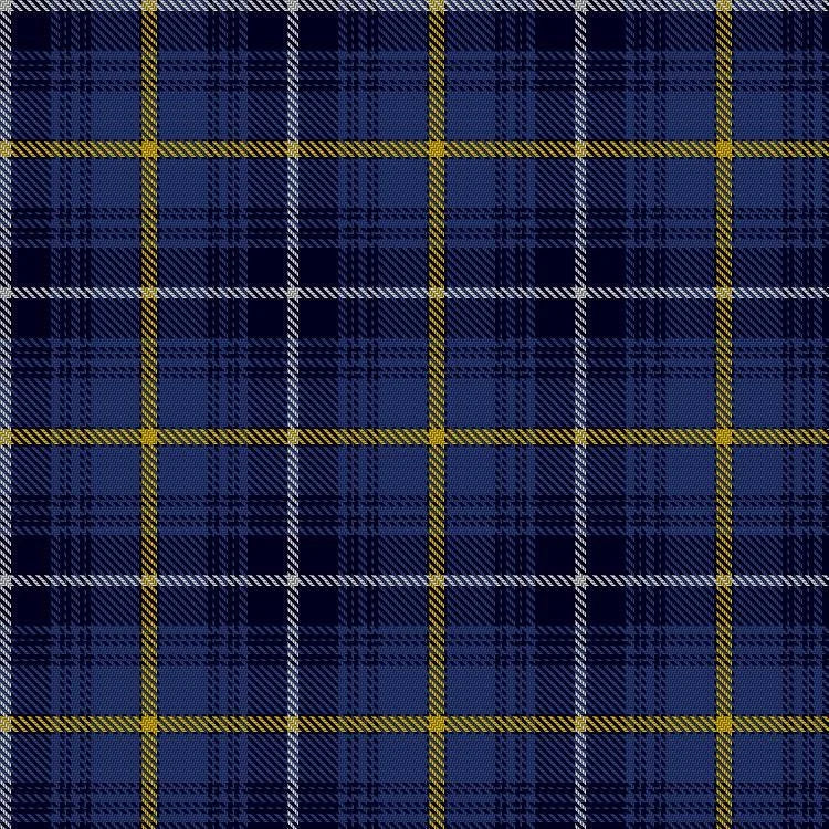 Swedish tartan swatch