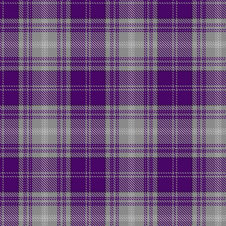 Purple Rain Tartan