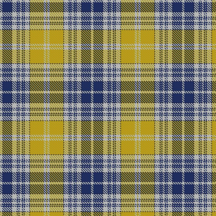 Ukraine Tartan