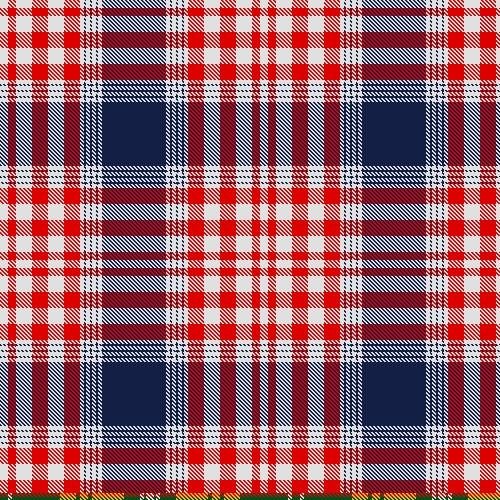 Team USA Tartan – International Tartans