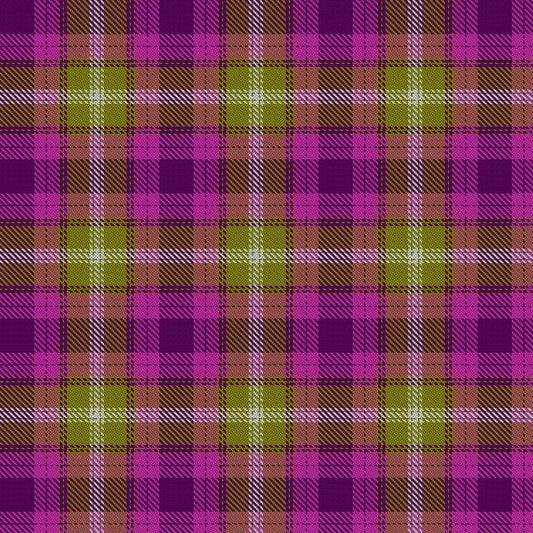 Borderlands Tartan