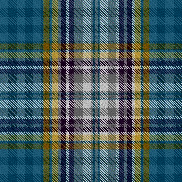 Dunn tartan swatch detail