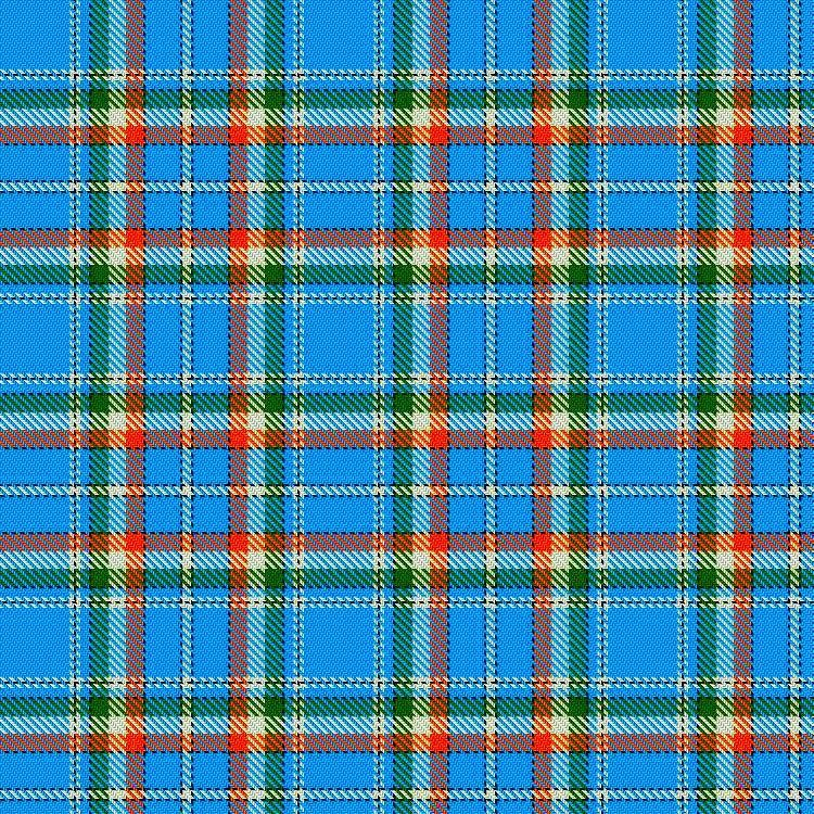 India Tartan swatch