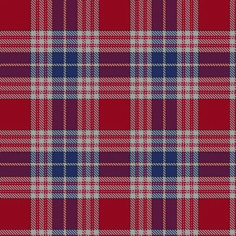 Nihon Japanese Tartan Swatch