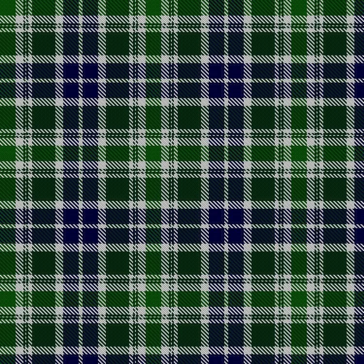 Pakistan tartan swatch