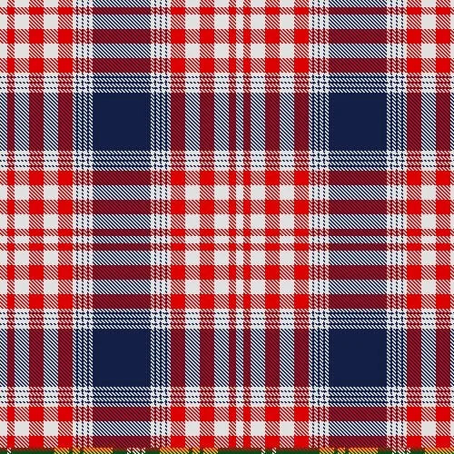 Team USA Tartan