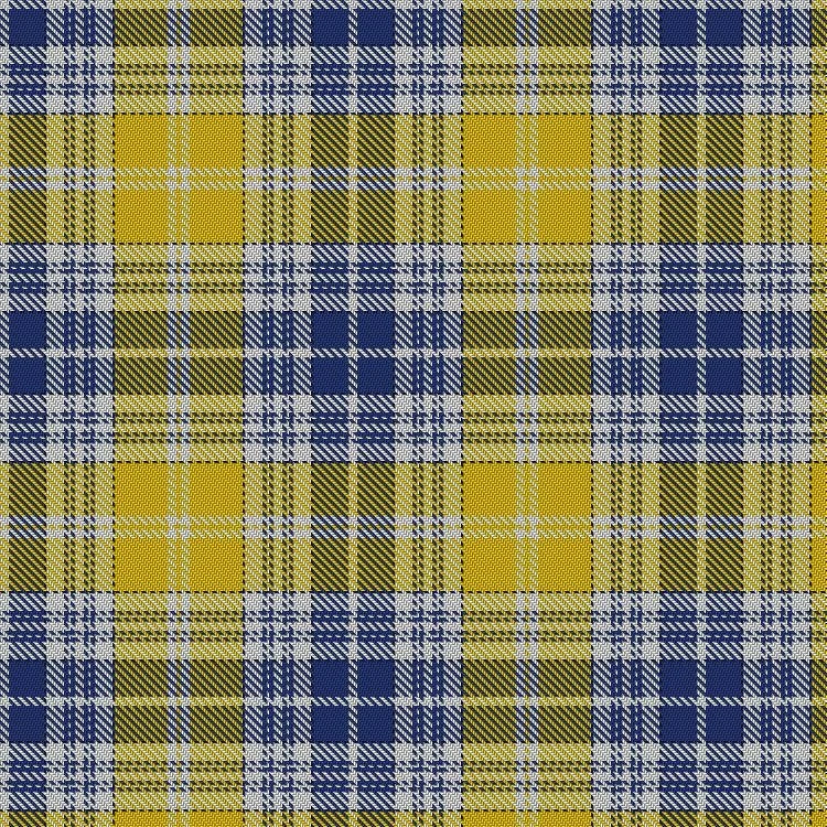 Ukrainian tartan swatch