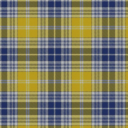 Ukrainian tartan swatch