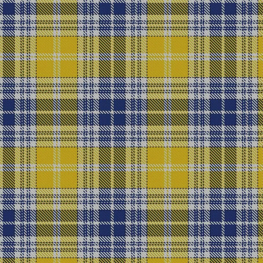 Ukrainian tartan swatch