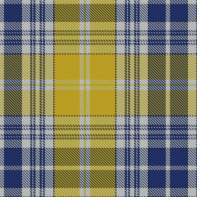 Ukraine tartan swatch detail