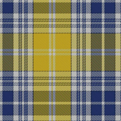 Ukraine tartan swatch detail