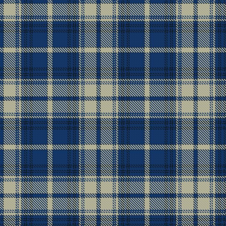 Finnish Tartan