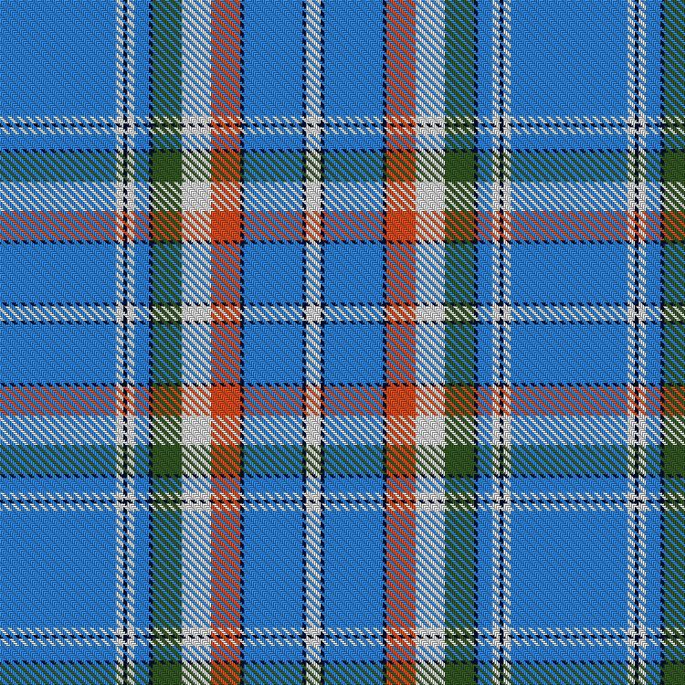 India Tartan Detail