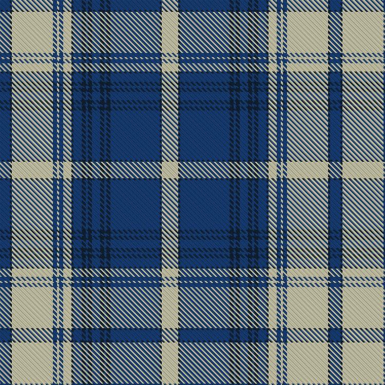 Finnish Tartan Detail